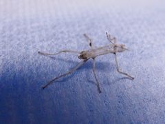 f:id:avdk101:20140306204913j:image