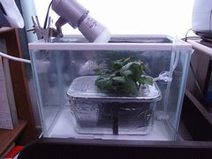 f:id:avdk101:20140308155118j:image