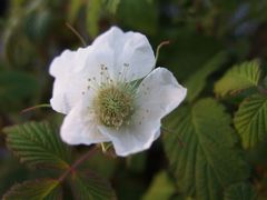 f:id:avdk101:20140413234212j:image