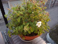 f:id:avdk101:20140413234216j:image