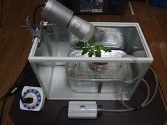 f:id:avdk101:20140414233019j:image