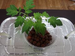 f:id:avdk101:20140414233020j:image