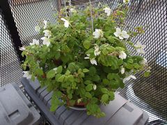 f:id:avdk101:20140416233740j:image