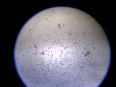 f:id:avdk101:20140416233741j:image
