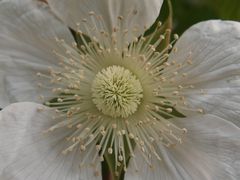 f:id:avdk101:20140416233805j:image