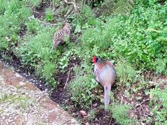 f:id:avdk101:20140420203644j:image