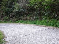 f:id:avdk101:20140420203645j:image