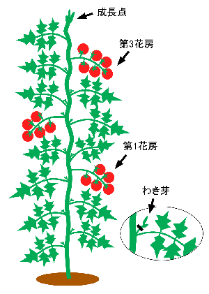 f:id:avdk101:20140426222147g:image