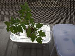 f:id:avdk101:20140503132240j:image