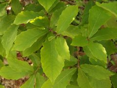 f:id:avdk101:20140511135819j:image