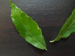 f:id:avdk101:20140517144853j:image