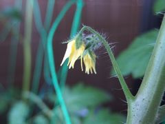 f:id:avdk101:20140601062219j:image