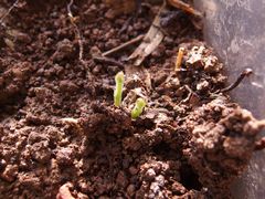 f:id:avdk101:20140607183049j:image