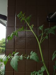 f:id:avdk101:20140612063238j:image