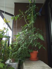 f:id:avdk101:20140612063241j:image
