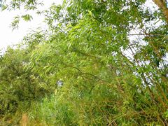f:id:avdk101:20140615172558j:image