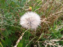 f:id:avdk101:20140615172559j:image