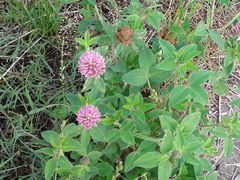 f:id:avdk101:20140615172600j:image