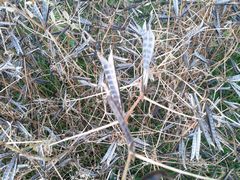 f:id:avdk101:20140615172602j:image