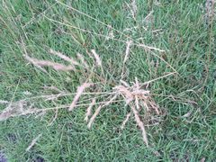 f:id:avdk101:20140615172603j:image
