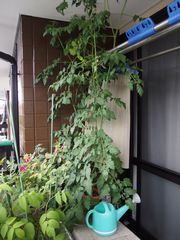 f:id:avdk101:20140625230115j:image