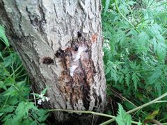 f:id:avdk101:20140628152832j:image