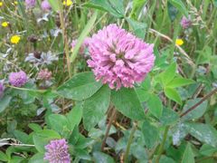 f:id:avdk101:20140628152837j:image