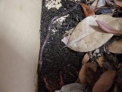 f:id:avdk101:20140703233757j:image