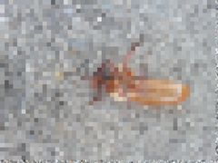 f:id:avdk101:20140707064118j:image