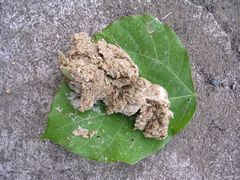 f:id:avdk101:20140712211900j:image