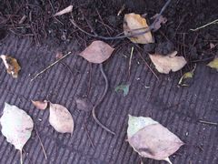 f:id:avdk101:20140720224058j:image