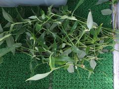 f:id:avdk101:20140726173527j:image