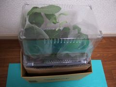 f:id:avdk101:20140726173617j:image