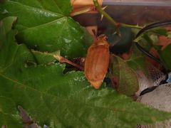 f:id:avdk101:20140726173620j:image