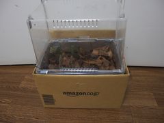 f:id:avdk101:20140809213814j:image