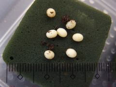 f:id:avdk101:20140809214954j:image