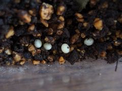 f:id:avdk101:20140809214955j:image