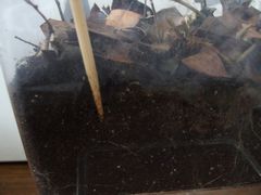 f:id:avdk101:20140809220053j:image