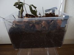 f:id:avdk101:20140809220054j:image