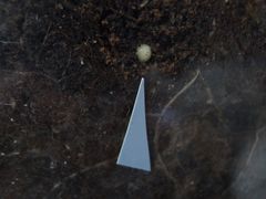 f:id:avdk101:20140809220457j:image