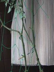 f:id:avdk101:20140817195559j:image