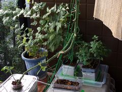 f:id:avdk101:20140824202635j:image