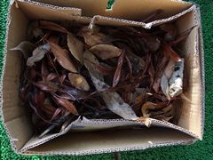 f:id:avdk101:20140825144633j:image