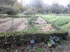 f:id:avdk101:20140826232520j:image