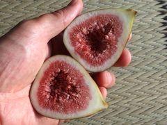 f:id:avdk101:20140904235439j:image
