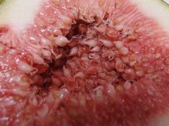 f:id:avdk101:20140906190316j:image