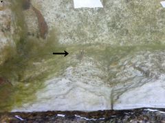 f:id:avdk101:20140906190321j:image