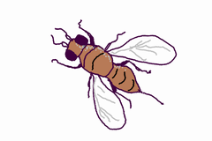 f:id:avdk101:20140906234513p:image