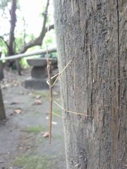 f:id:avdk101:20140914140837j:image