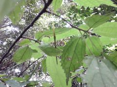 f:id:avdk101:20140914140839j:image